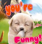 Image result for Images of You Are Too Funny