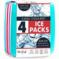Image result for Reusable Ice Packs for Coolers