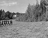 Image result for Military Execution by Firing Squad