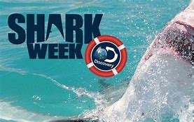 Image result for Shark Week diversity