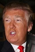 Image result for Orange Make Up Trump