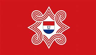 Image result for Ustase Flag