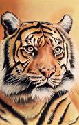 Image result for Tiger for Art