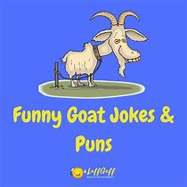 Image result for Funny Quotes About Goats
