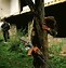 Image result for Bosnia Serbia War Un Hostage