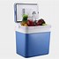 Image result for Electric Ice Cooler