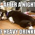 Image result for Old Lady Funny Drinking Memes