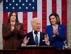 Image result for Nancy Pelosi State of Union