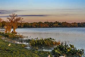 Image result for Where Is Leesburg FL