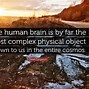 Image result for Quotes About Brain
