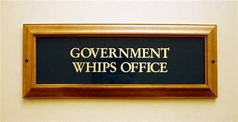 Image result for Government Whip