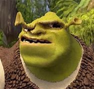 Image result for Confused Shrek