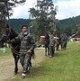 Image result for Romanian Army WW1
