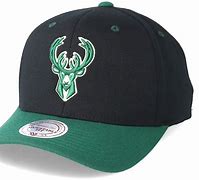 Image result for Milwaukee Bucks Hats