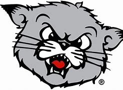 Image result for University of Cincinnati Bearcat
