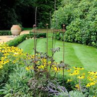 Image result for Ornate Plant Supports