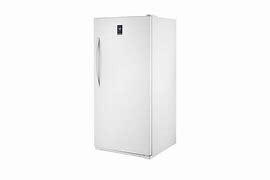 Image result for F'real Tall Upright Freezer
