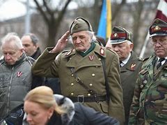 Image result for Wehrmacht Latvian