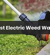 Image result for Useing Electric Weed Wacker