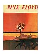 Image result for Oh, By The Way Pink Floyd