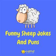 Image result for Sheep Puns