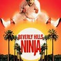 Image result for Beverly Hills Ninja Chef Scene