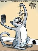 Image result for Bizarro Cat Cartoons