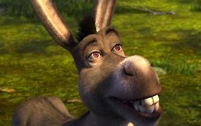 Image result for Shrek Movie Donkey