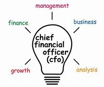 Image result for CFO Role