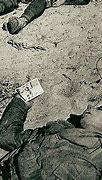 Image result for Wolyn Massacre