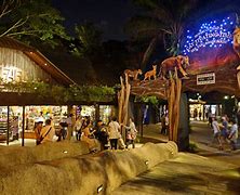 Image result for Singapore Zoo Attraction
