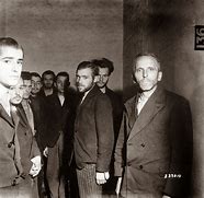 Image result for De Gestapo