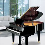 Image result for Music Instruments Piano