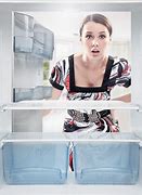 Image result for Counter-Depth Built in Refrigerator