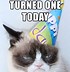 Image result for Throwback Thursday Grumpy Cat