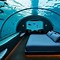 Image result for Underwater Fish House