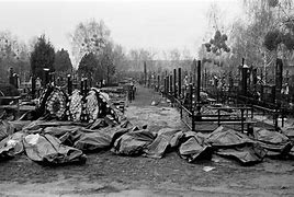 Image result for War Atrocities