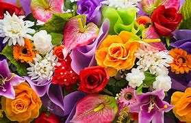 Image result for Walllpapers Flowers