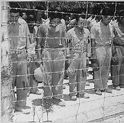 Image result for Prisoners of War in Japan
