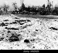 Image result for Malmedy Belgium Massacre