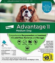 Image result for Advantage II Large Dog Flea Treatment, Flea Treatment For Large Dogs 21-55 Pounds