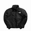 Image result for the north face drip coat