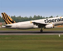 Image result for Tigerair Singapore