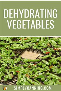 Image result for Dehydrating Oven