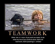 Image result for Funny Teamwork Quotes Sayings