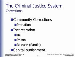 Image result for Corrections Component Criminal Justice System