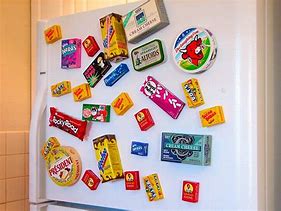 Image result for Refrigerator Door Magnets