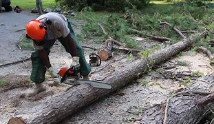 Image result for Military Chain Saw