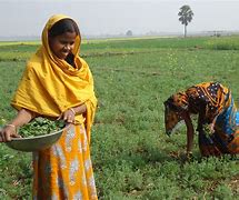 Image result for Bangladesh Farmers