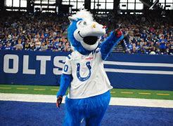 Image result for Indianapolis Colts Mascot Blue